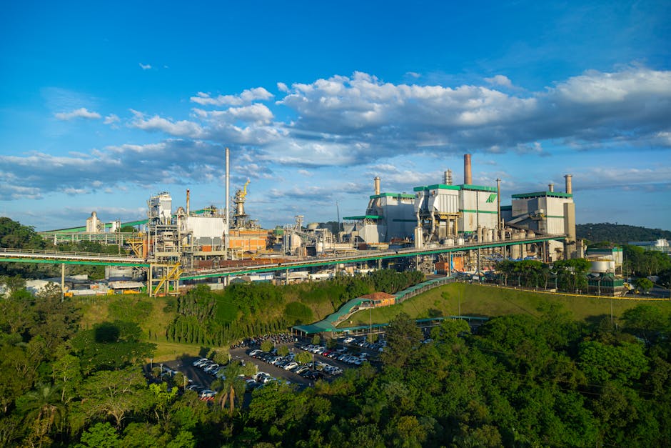 MATOPIBA terá sua primeira indústria de processamento de soja